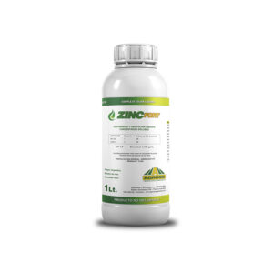 ZincFORT
